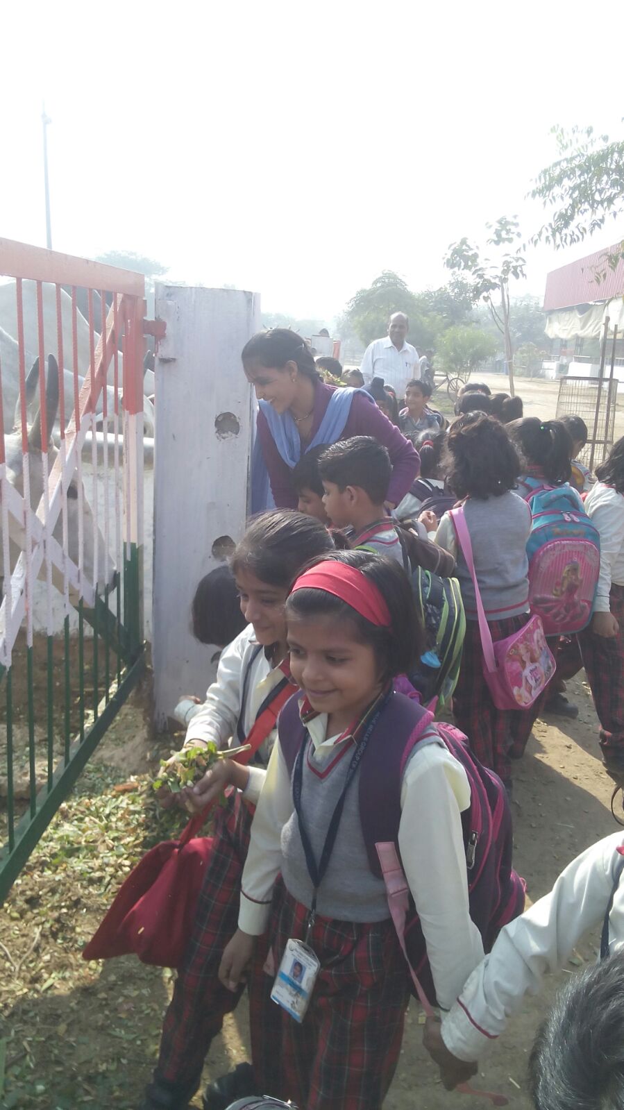 AN EDUCATIONAL TRIP TO GAUSHALA 